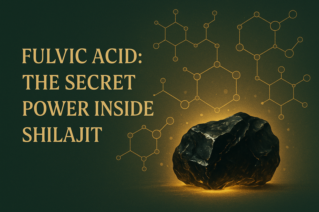 Fulvic Acid: The Secret Power Inside Shilajit
